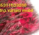 Bulu Dushboard Kombinasi 2 warna Bulu panjang